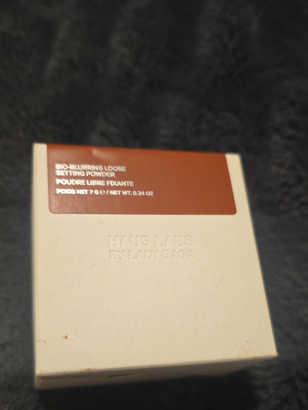 Haus Labs Bio-Blurring Loose Setting Powder — Cocoa